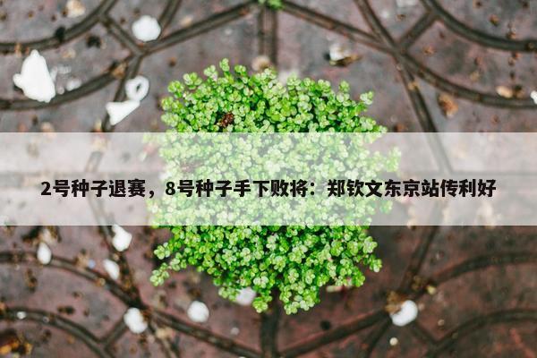 2号种子退赛，8号种子手下败将：郑钦文东京站传利好