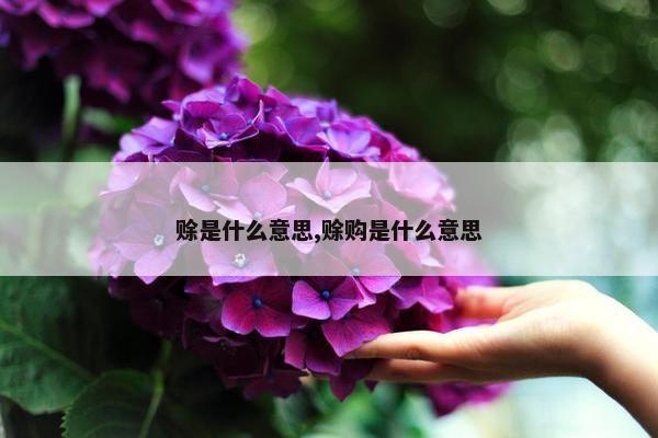 赊是什么意思,赊购是什么意思