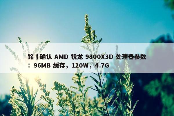 铭瑄确认 AMD 锐龙 9800X3D 处理器参数：96MB 缓存，120W，4.7G