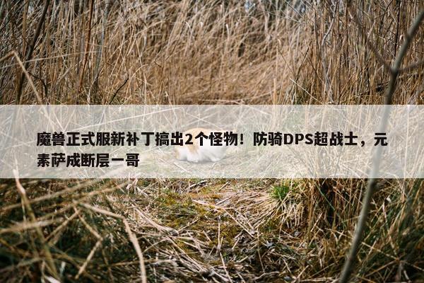 魔兽正式服新补丁搞出2个怪物！防骑DPS超战士，元素萨成断层一哥