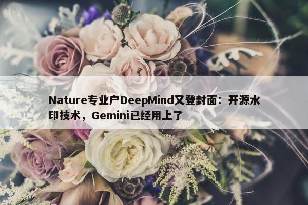 Nature专业户DeepMind又登封面：开源水印技术，Gemini已经用上了