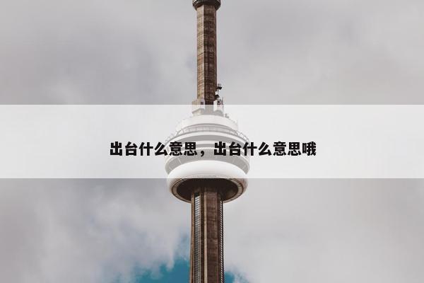 出台什么意思，出台什么意思哦