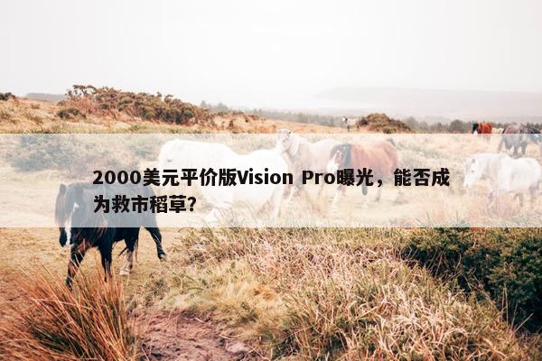 2000美元平价版Vision Pro曝光，能否成为救市稻草？