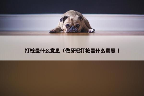 打桩是什么意思（做牙冠打桩是什么意思 ）