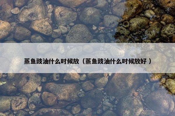 蒸鱼豉油什么时候放（蒸鱼豉油什么时候放好 ）