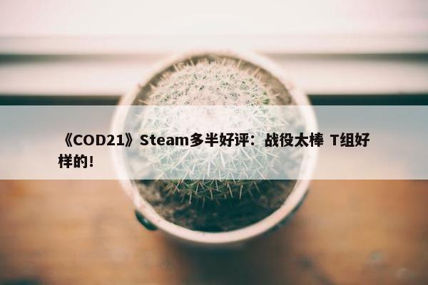 《COD21》Steam多半好评：战役太棒 T组好样的！