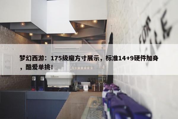 梦幻西游：175级魔方寸展示，标准14+9硬件加身，酷爱单挑！