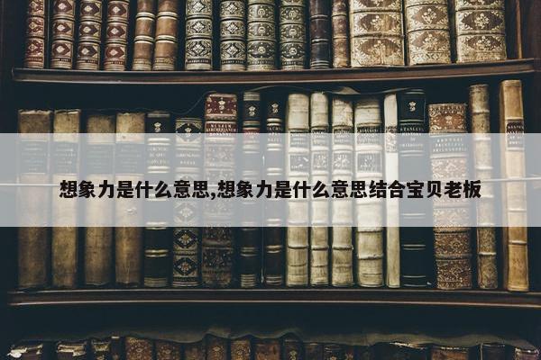 想象力是什么意思,想象力是什么意思结合宝贝老板