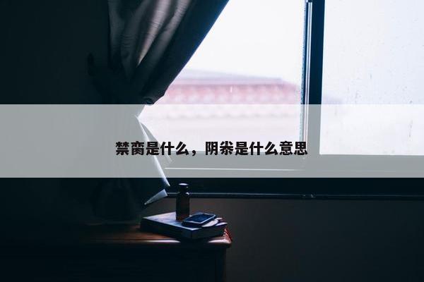 禁脔是什么，阴尜是什么意思