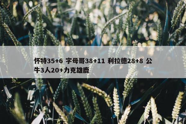 怀特35+6 字母哥38+11 利拉德28+8 公牛3人20+力克雄鹿