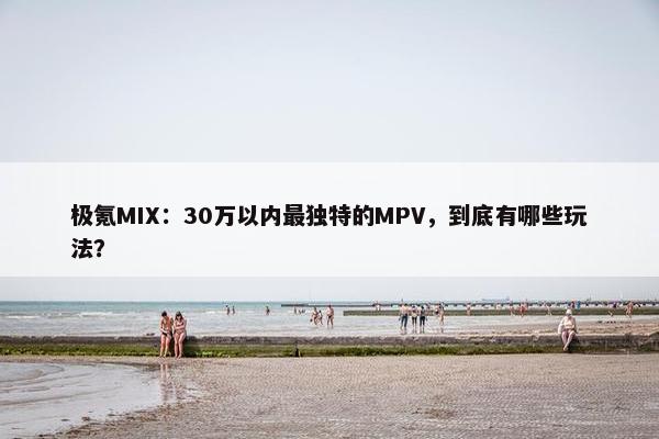 极氪MIX：30万以内最独特的MPV，到底有哪些玩法？