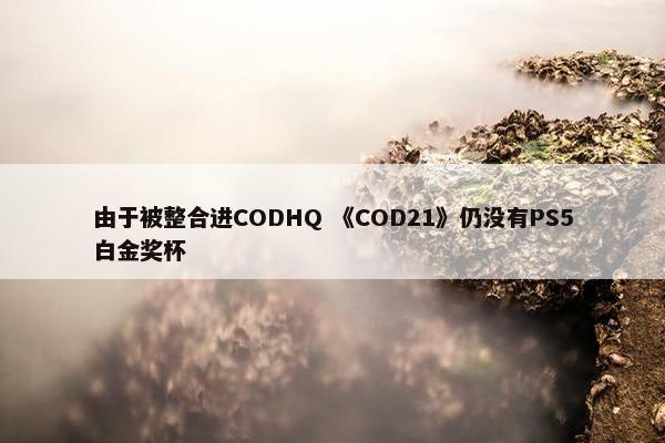 由于被整合进CODHQ 《COD21》仍没有PS5白金奖杯