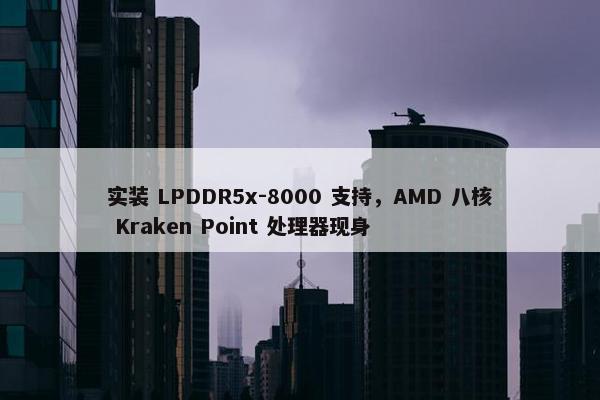 实装 LPDDR5x-8000 支持，AMD 八核 Kraken Point 处理器现身