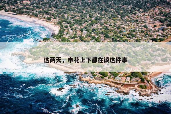 这两天，申花上下都在谈这件事