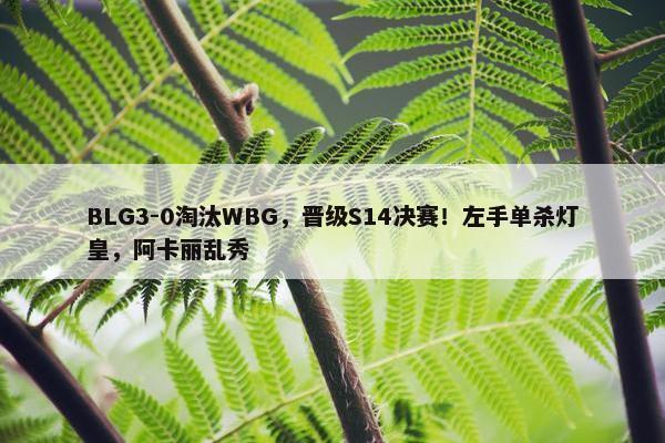 BLG3-0淘汰WBG，晋级S14决赛！左手单杀灯皇，阿卡丽乱秀