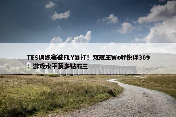 TES训练赛被FLY暴打！双冠王Wolf锐评369：游戏水平顶多钻石三