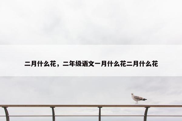 二月什么花，二年级语文一月什么花二月什么花