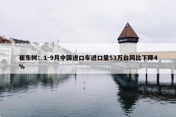 崔东树：1-9月中国进口车进口量53万台同比下降4%