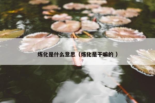 炼化是什么意思（炼化是干嘛的 ）