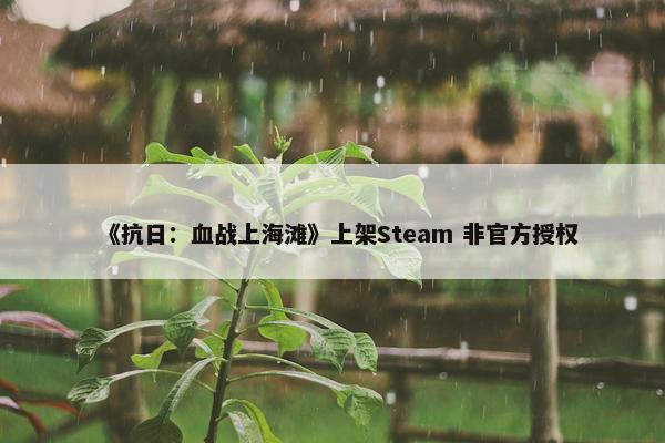 《抗日：血战上海滩》上架Steam 非官方授权