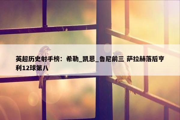 英超历史射手榜：希勒_凯恩_鲁尼前三 萨拉赫落后亨利12球第八