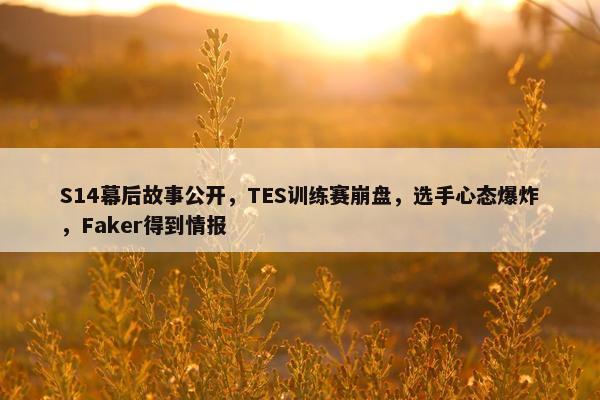 S14幕后故事公开，TES训练赛崩盘，选手心态爆炸，Faker得到情报