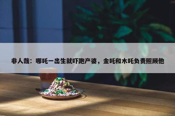 非人哉：哪吒一出生就吓跑产婆，金吒和木吒负责照顾他