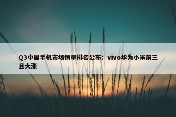 Q3中国手机市场销量排名公布：vivo华为小米前三且大涨