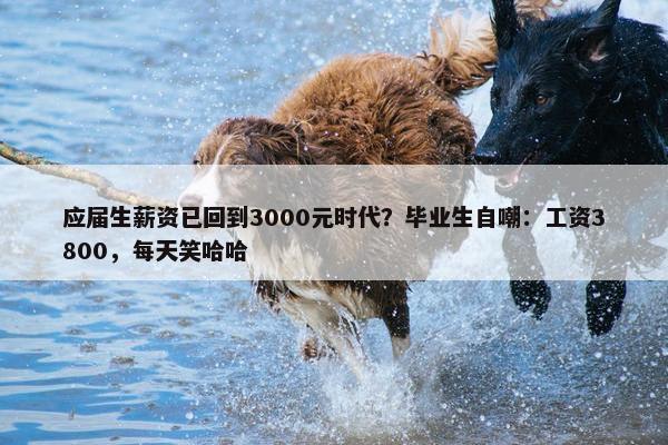 应届生薪资已回到3000元时代？毕业生自嘲：工资3800，每天笑哈哈