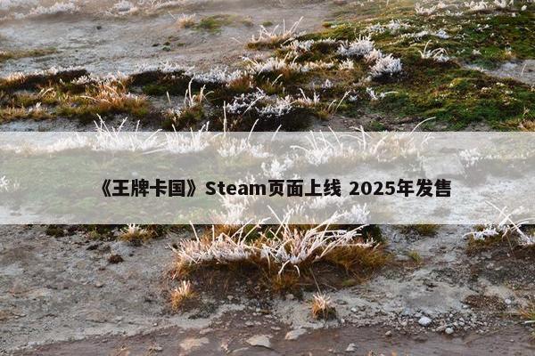 《王牌卡国》Steam页面上线 2025年发售