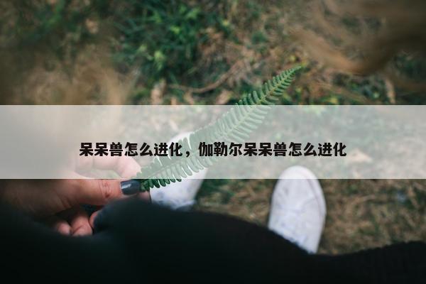 呆呆兽怎么进化，伽勒尔呆呆兽怎么进化