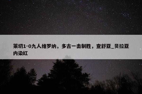 莱切1-0九人维罗纳，多古一击制胜，查舒亚_贝拉亚内染红