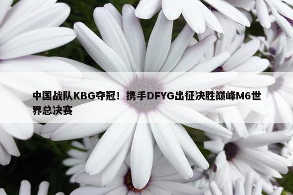 中国战队KBG夺冠！携手DFYG出征决胜巅峰M6世界总决赛