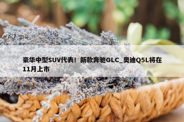 豪华中型SUV代表！新款奔驰GLC_奥迪Q5L将在11月上市