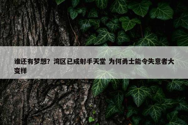 谁还有梦想？湾区已成射手天堂 为何勇士能令失意者大变样