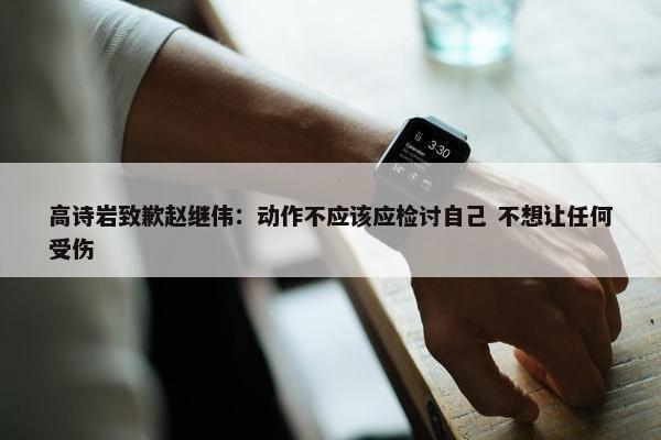 高诗岩致歉赵继伟：动作不应该应检讨自己 不想让任何受伤