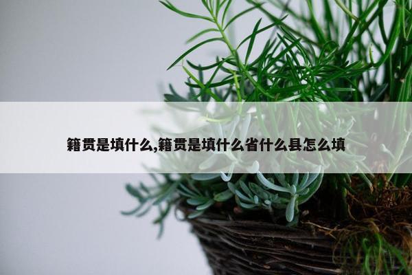 籍贯是填什么,籍贯是填什么省什么县怎么填