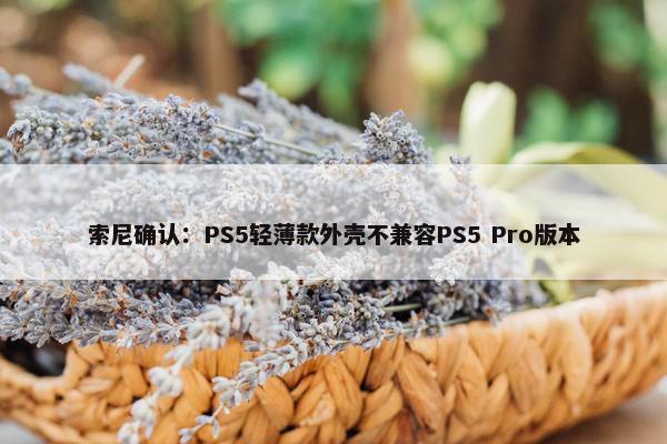 索尼确认：PS5轻薄款外壳不兼容PS5 Pro版本