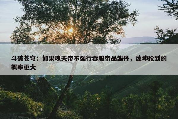 斗破苍穹：如果魂天帝不强行吞服帝品雏丹，烛坤抢到的概率更大