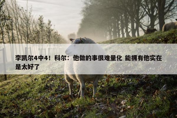 李凯尔4中4！科尔：他做的事很难量化 能拥有他实在是太好了