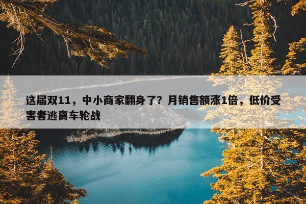 这届双11，中小商家翻身了？月销售额涨1倍，低价受害者逃离车轮战