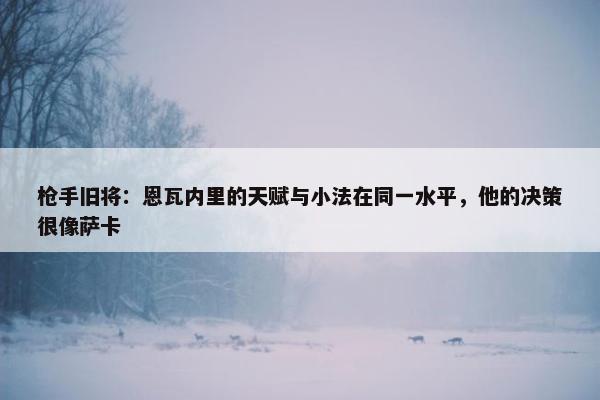 枪手旧将：恩瓦内里的天赋与小法在同一水平，他的决策很像萨卡