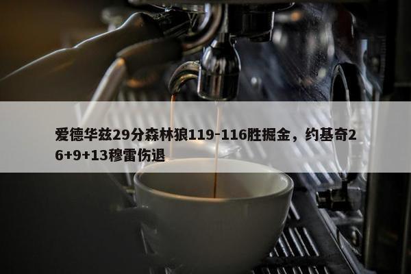 爱德华兹29分森林狼119-116胜掘金，约基奇26+9+13穆雷伤退