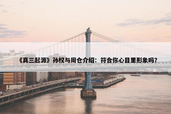 《真三起源》孙权与周仓介绍：符合你心目里形象吗？