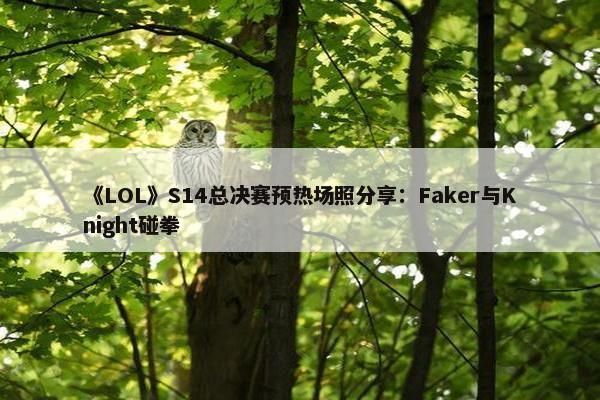 《LOL》S14总决赛预热场照分享：Faker与Knight碰拳