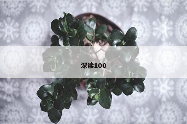 深读100