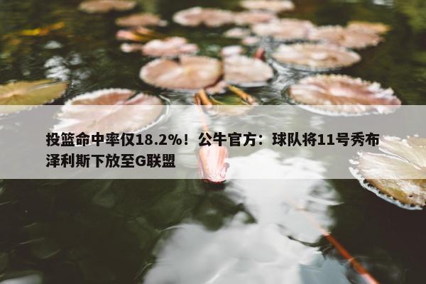 投篮命中率仅18.2%！公牛官方：球队将11号秀布泽利斯下放至G联盟