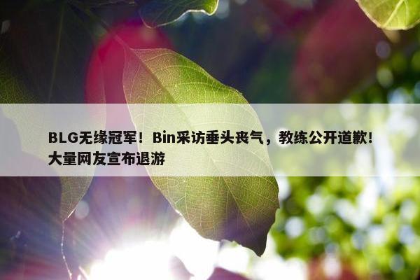 BLG无缘冠军！Bin采访垂头丧气，教练公开道歉！大量网友宣布退游