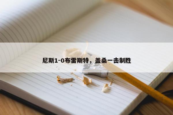 尼斯1-0布雷斯特，盖桑一击制胜