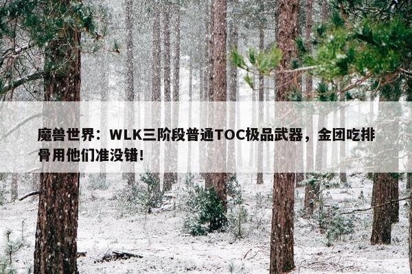 魔兽世界：WLK三阶段普通TOC极品武器，金团吃排骨用他们准没错！